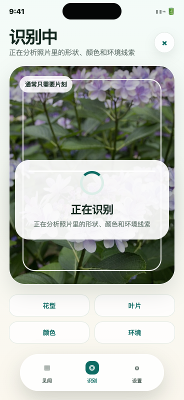 CapKnow 识别中界面截图